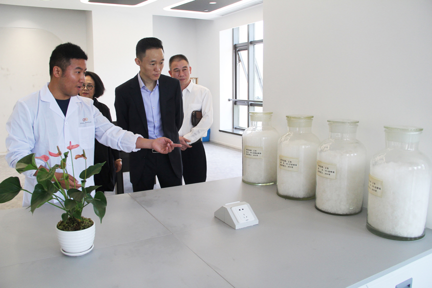 中国工商银行丽水市分行行长应海卿一行莅临艾莱依集团参观交流 新闻配图