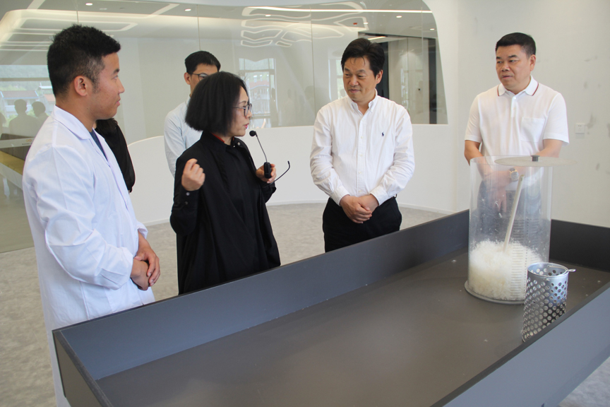 丽水市委常委、宣传部长葛学斌一行莅临艾莱依集团参观调研 新闻配图