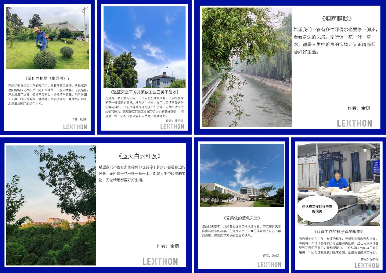 六安服装工厂“镜头下的美”摄影展活动圆满落幕 新闻配图